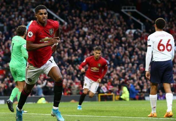 这对金志树 这对金志树